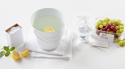 How to Organize Your Fridge Article