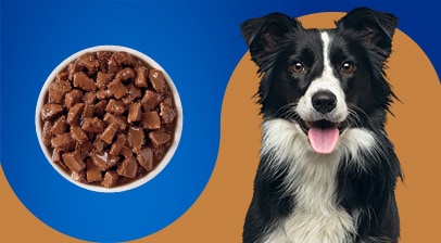 Pet Pride Dog Food Cat Food Treats Toys Kroger Jay C Food Stores