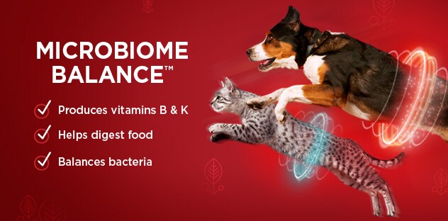 Microbiome Balance
