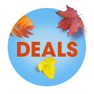 Fall Deals