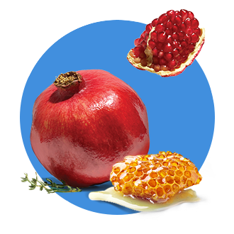 Rosh Hashanah