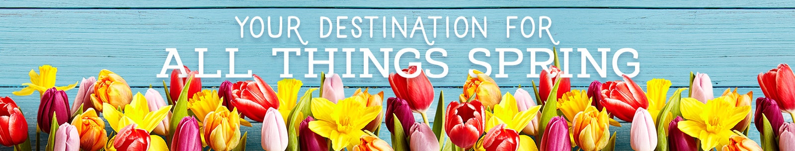 Your Destination for All Things Spring