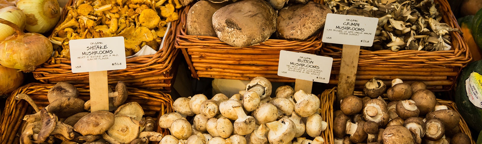 A variety of mushrooms in baskets