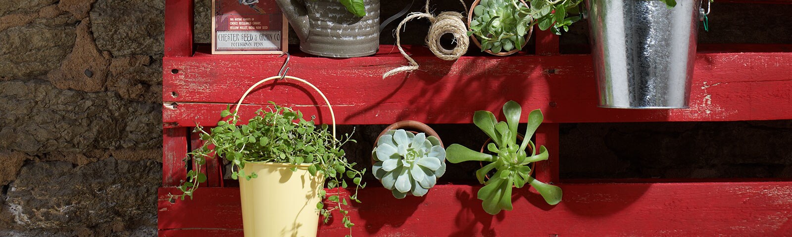 Plants on tin planters on a red pallet Plants on tin planters on a red pallet